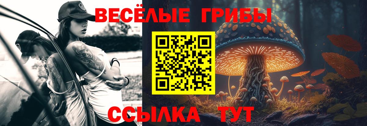 Рославль  Галлюциногенные грибы мицелий  Псилоцибиновые грибы Cubensis  Вход с VPN 